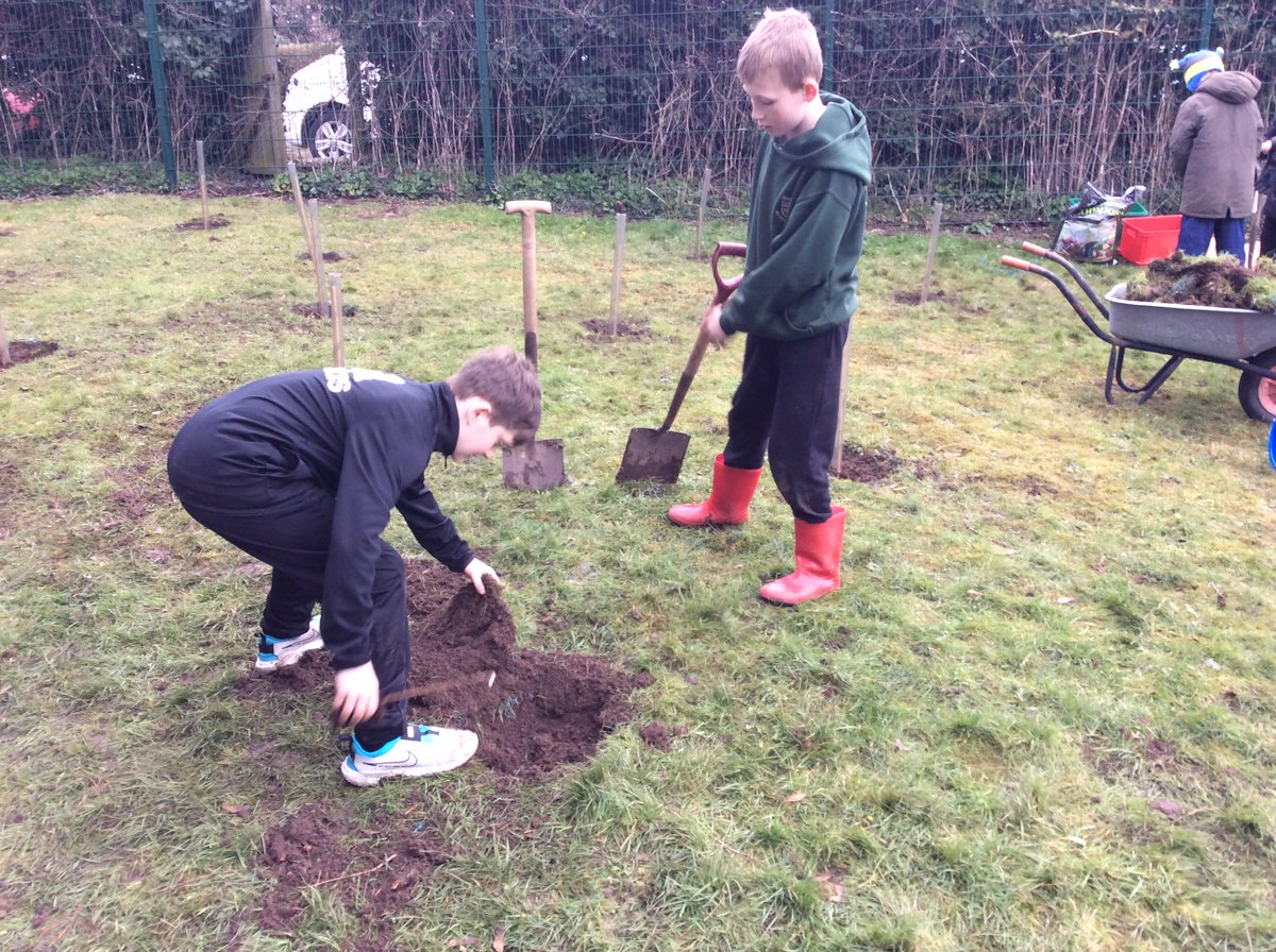 Planting began at R.M.S. today! Our year 5 &amp; 6 Forest School group made a fantastic start to our re-wilding and tree planting project in our school's Nursery playing field. #DoingAllTheGoodWeCan Thank you to
@WoodlandTrust for our tree pack!