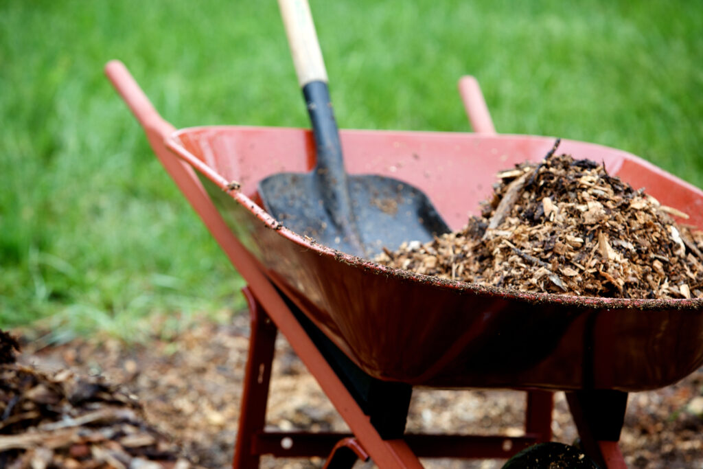 Callawayrealtor's tweet photo. Start here if looking to add mulch to your #yard. #gardenersworld  https://t.co/UkkcnMhfwV https://t.co/pgOiru5Jqq