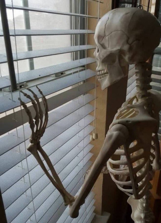 Me waiting for my Hacktoberfest swags