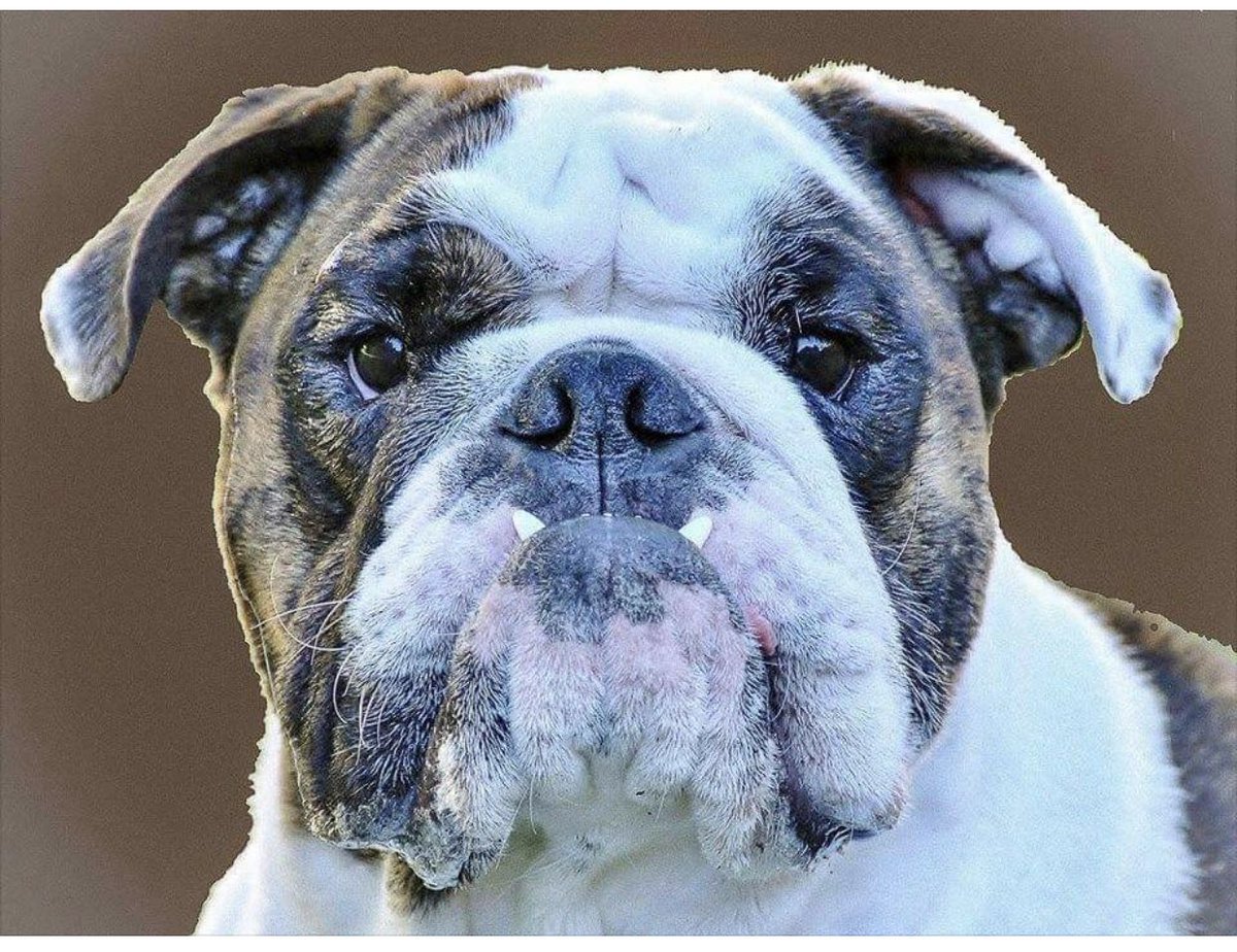 🏀🏀Final…
Male 94
Breathitt Co 59