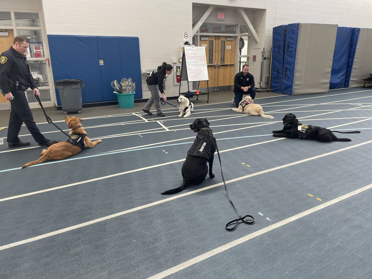 BrianWi78133416's tweet photo. @sps01907 As part of mental awareness week Sora invited some friends to visit from Salem PD, Gloucester PD, and Reading PD to visit our SHS students and staff. Thank you all for coming. #comfortdogs #salempd #readingpd #GloucesterPD https://t.co/pyKSQLcr4d