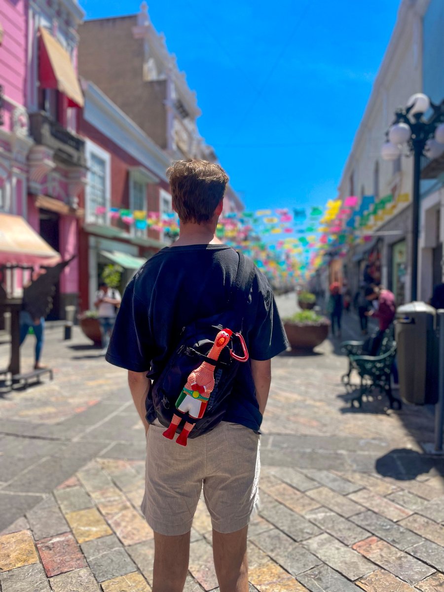 okstate_Global's tweet photo. Who is having more fun in Puebla, Mexico: the students or the plastic chicken?
#GloabblyOrange #okstateabroad #OkStateGlobal https://t.co/IU98SVGBa4