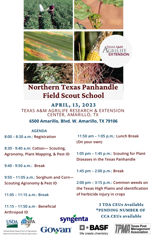 TXPanhandle_IPM's tweet photo. https://t.co/8k6Ff8cL6L