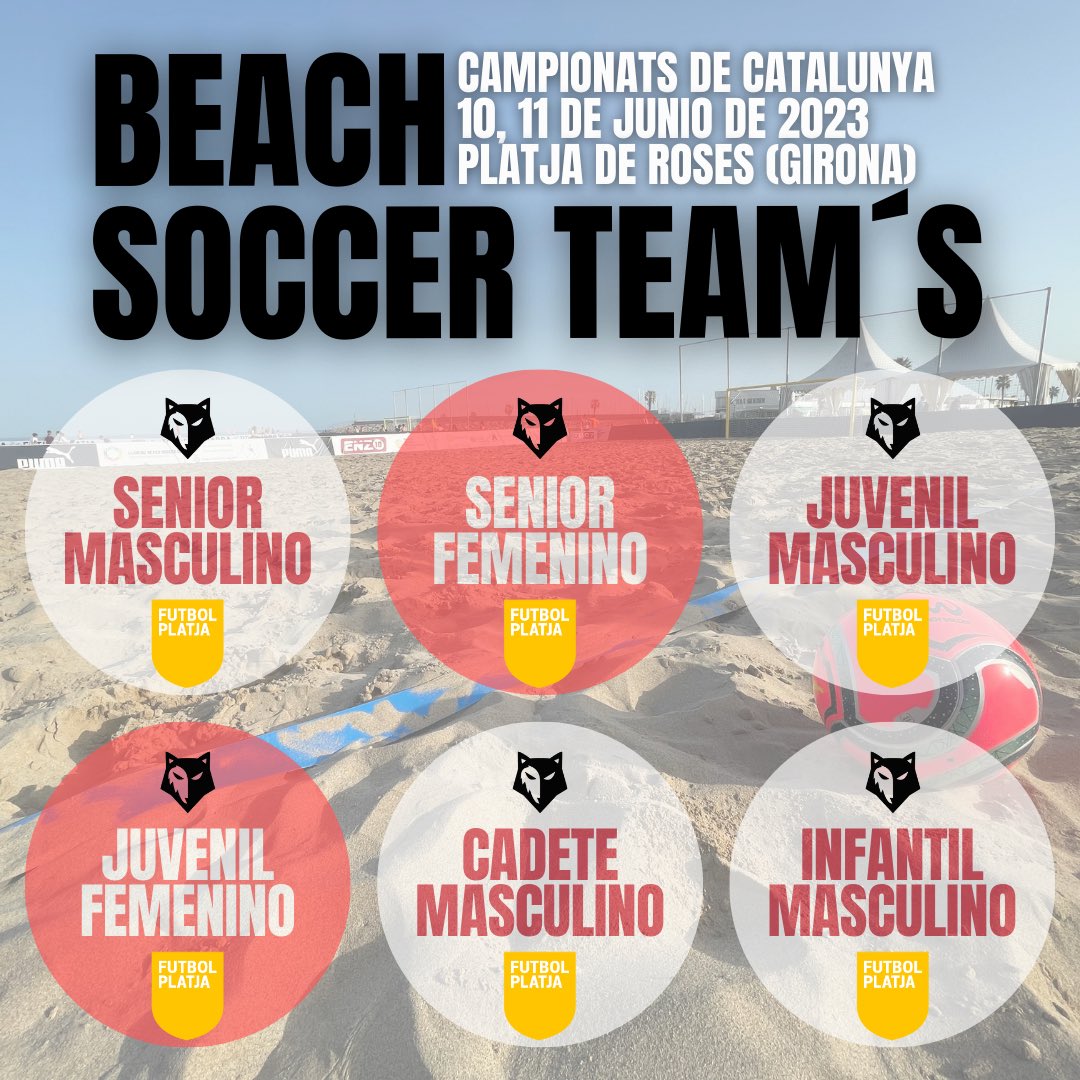 Black Wolf 🐺 tweet media