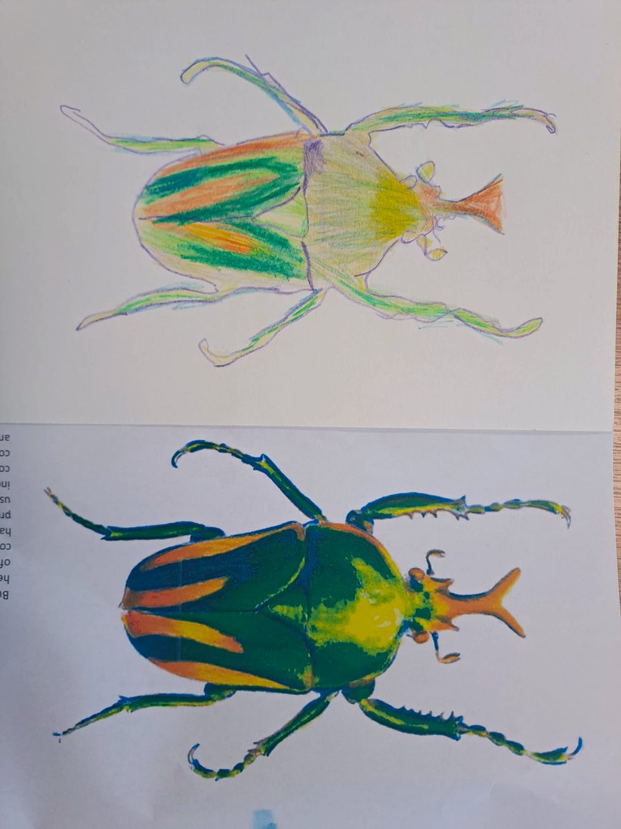 LDixon25's tweet photo. I love it when Miss Wheeler sends me pictures of the impressive art work produced in #teamladder ๐ชฒ This masterpiece was created by the lovely Liam! Itโs definitely going on a display board! #artwork #talent #challengeyourself https://t.co/aqGdxUTnKv
