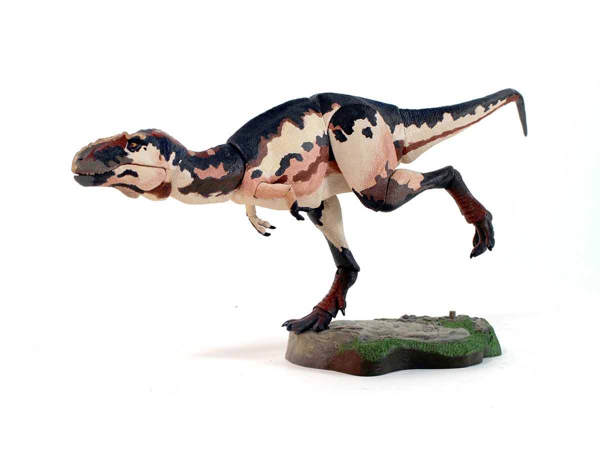 Today we have a look at the first (unaltered) paint sample for the BotM Teratophoneus, from wave 2 of the Tyrannosaur Series. The balance on this one is quite impressive- I think this 12" size hits the sweet spot for articulation and details! #beastsofthemesozoic