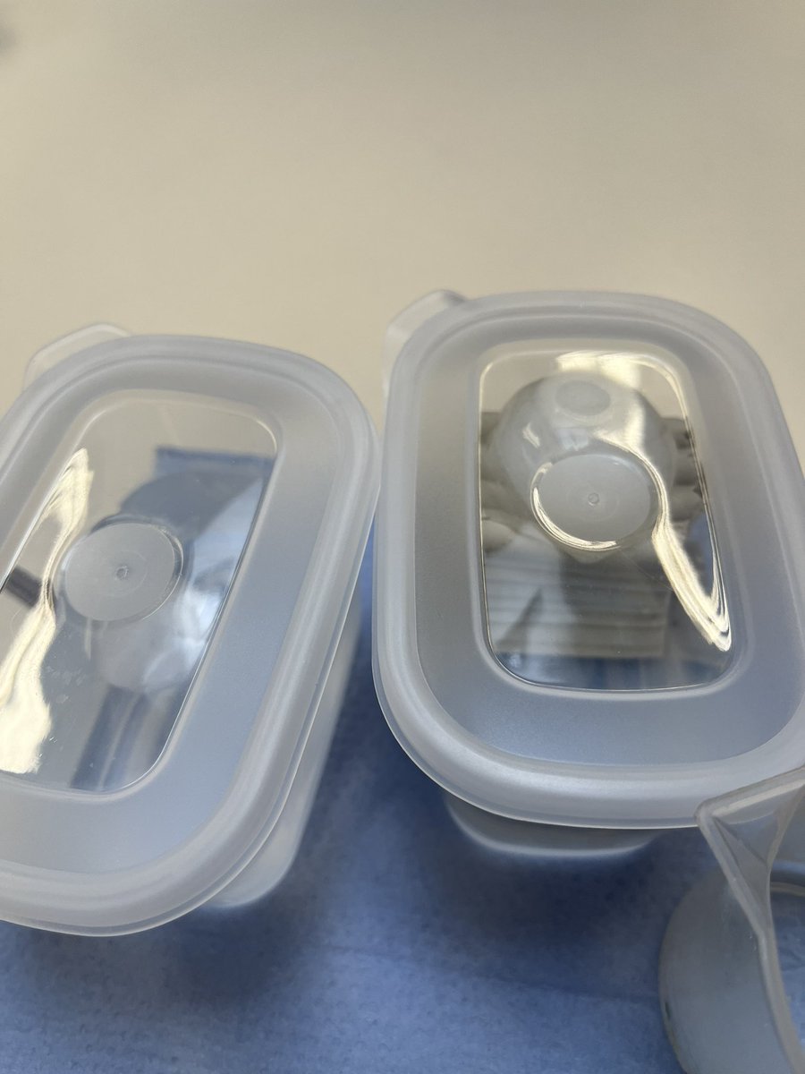 Investigating how sea ice and land ice contribute to rising sea levels <a href="/CTS_Watford/">Cherry Tree Primary School</a> <a href="/headcherrytree/">Cherry Tree Headteacher</a>