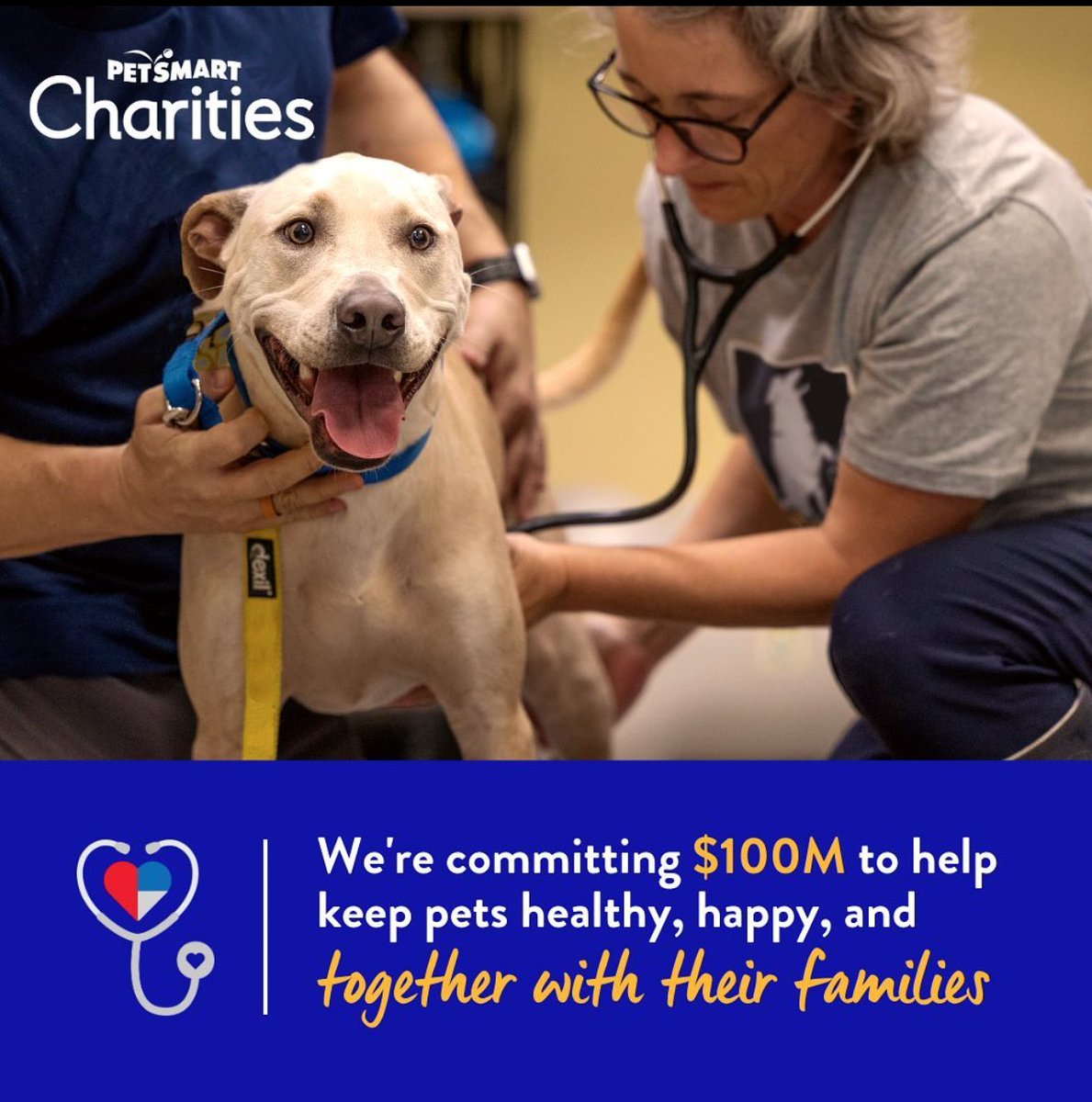 #PetSmartCharities is proud to lead the change for good to ensure pets in need receive care because here within #LifeAtPetSmart, we know that pets are family too. ❤️ #anythingforpets

#chicago #hiringinchicago #dogs #petlovers #teamwork #positiveimpact
