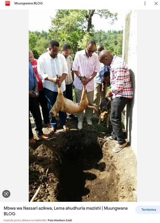 Mapungo2020's tweet photo. Anaechukizwa na kifo cha Simba maarufu kutangazwa BBC ndie huyo huyo yuko mstari wa mbele kwenye kuzika umbwa.

Wanazengo hii ni aina gani ya kukosa ubongo yaani huyu mtu ana kosa ubongo gani kati ya ile 3?🚶🚶🤭 https://t.co/5eUeZUOjfi