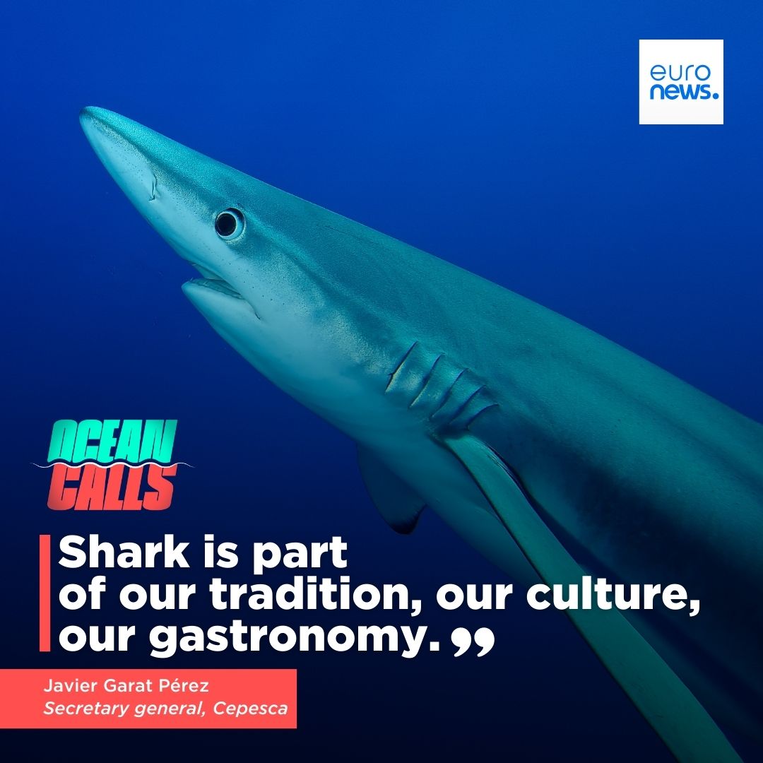 Euronews On Twitter Do Europeans Eat A Lot Of Shark In Some this-is-the-best-looking-european-country-youtube