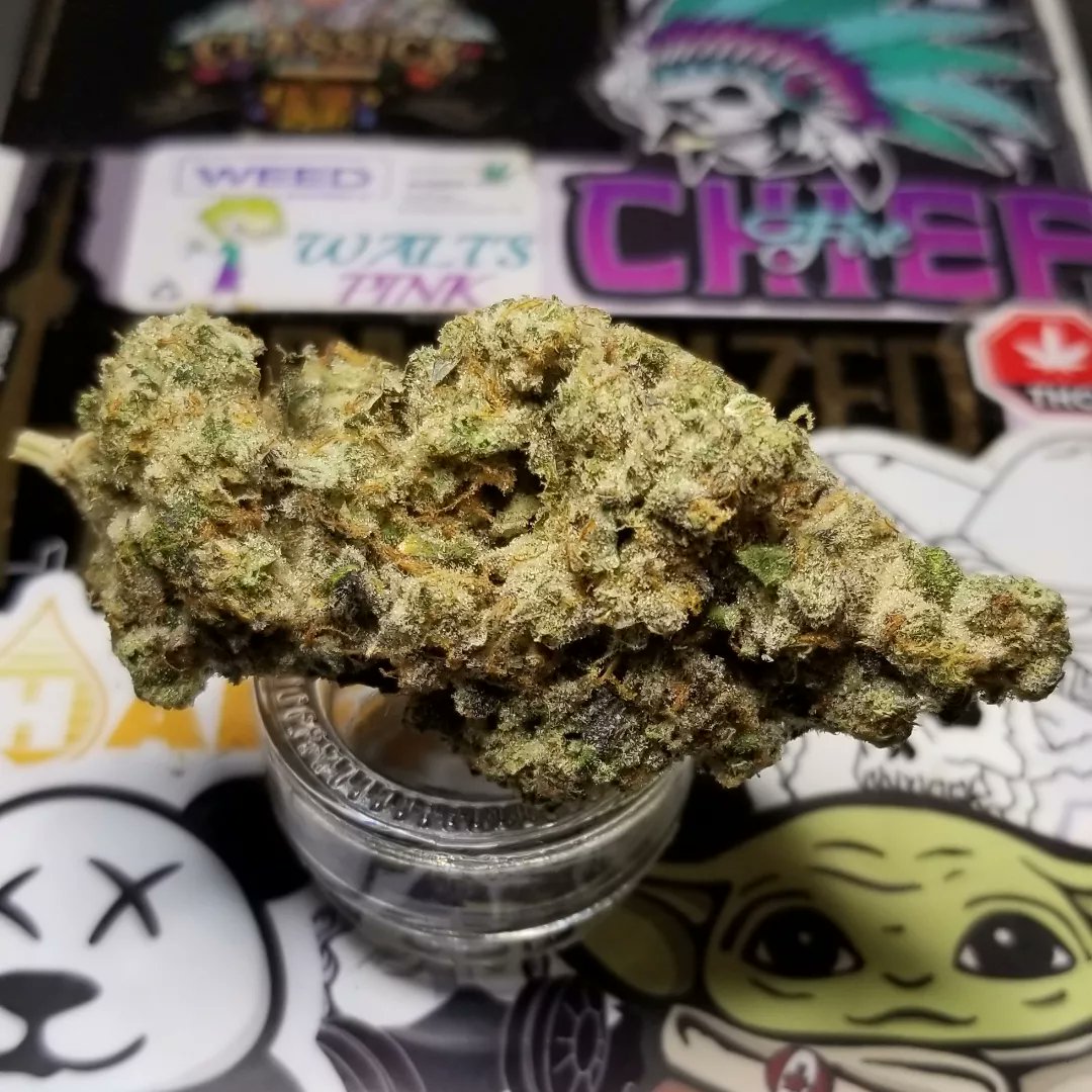 Northern_Wayz's tweet photo. Silver Dollar Farms could go LP real quick with this level of end result, tops galore and  a phenomenal cut pushed to its outer limits by such a consumer oriented collective screams brand potential. 

Kush Mints 2 

#Mmemberville_
#CannabisCommunity 
#cannabisculture 
#cannabis https://t.co/QHT4MsclOa