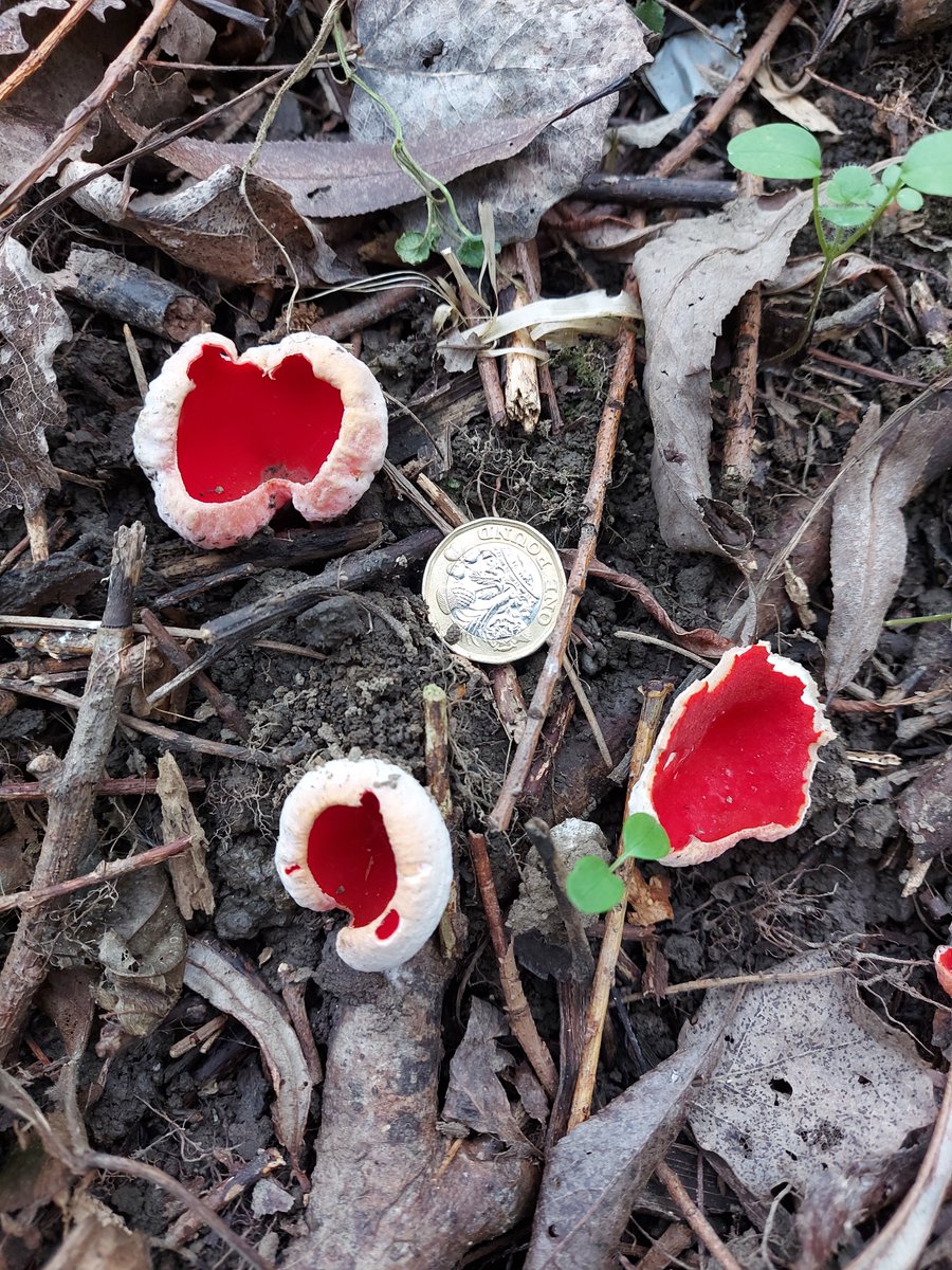 Markham Vale tweet media