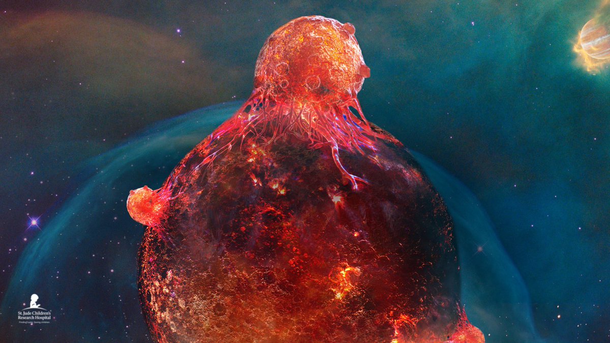 Metastatic cancer cells find ways to thrive in harsh environments. Scientists at St. Jude have new clues about how those cells succeed and how to potentially stop them. bit.ly/3ZUjLvN <a href="/ScienceAdvances/">Science Advances</a>