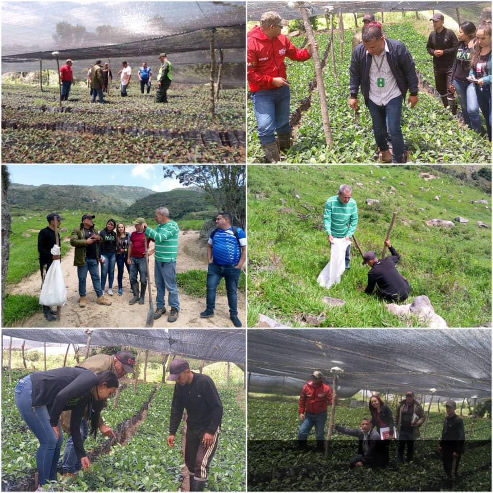 Inspección técnica en el Municipio libertad Capacho Viejo, parroquia Cipriano Castro, donde se ejecutó la verificación de las condiciones de plántulas de café y se tomaron muestras de suelo para realizar estudios.
<a href="/NicolasMaduro/">Nicolás Maduro</a> 
<a href="/wcastroPSUV/">Wilmar Castro</a> 
<a href="/MinAgriculturaV/">MinAgriculturaVe</a> 
<a href="/FreddyBernal/">Freddy Bernal</a>
