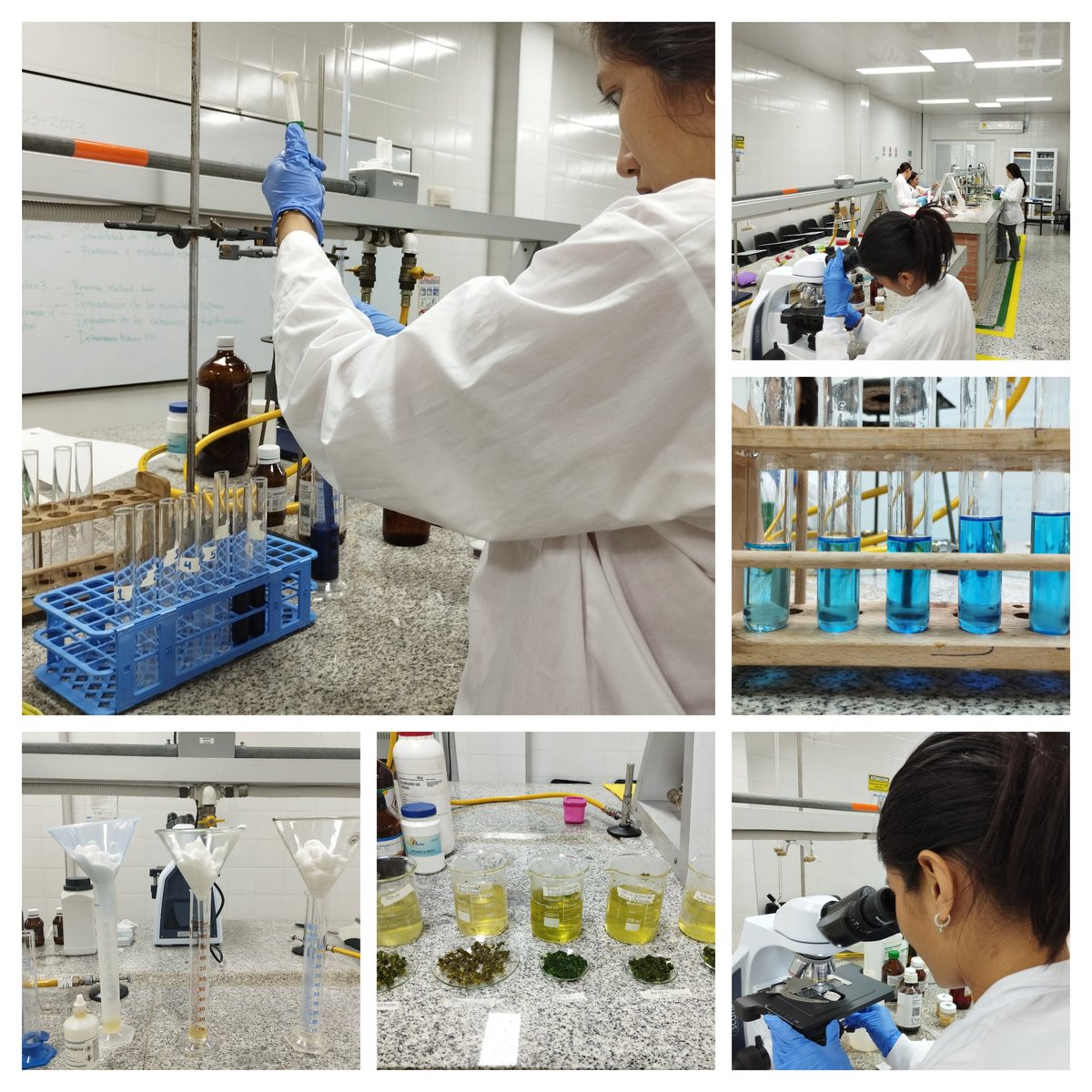 Desarrollo del componente práctico Química de alimentos <a href="/AlimentosUNAD/">Alimentos UNAD</a> Zona Centro   Sur - CEAD Palmira

<a href="/UniversidadUNAD/">Universidad UNAD</a>