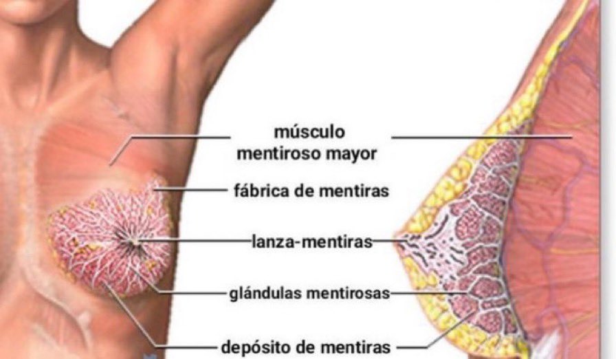 así funcionan… cuanto más grandes más mentira albergan