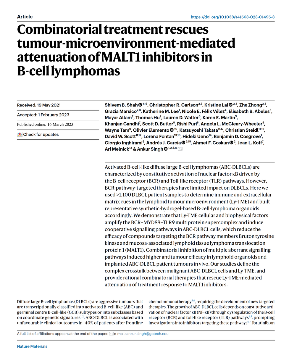 Ankur Singh (@dr_asingh) on Twitter photo Thrilled to share our work in <a href="/NatureMaterials/">Nature Materials</a> on profiling lymphoid tumor microenvironment & engineering Lymphoma organoids to define complex cell-TME crosstalks! Huge congrats to my PhD <a href="/shivemshah/">Shiv Shah</a> & all collabs!! Thx <a href="/NIH/">NIH</a> <a href="/WellcomeLeap/">Wellcome Leap</a> HOPE for support! nature.com/articles/s4156… Thrilled to share our work in <a href="/NatureMaterials/">Nature Materials</a> on profiling lymphoid tumor microenvironment & engineering Lymphoma organoids to define complex cell-TME crosstalks! Huge congrats to my PhD <a href="/shivemshah/">Shiv Shah</a> & all collabs!! Thx <a href="/NIH/">NIH</a> <a href="/WellcomeLeap/">Wellcome Leap</a> HOPE for support! nature.com/articles/s4156…
