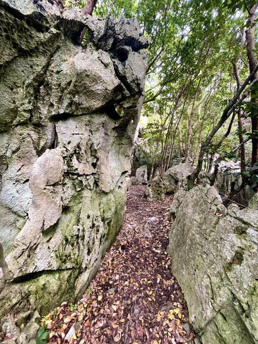 うおおおおお大石林山に車で連れてってもらったんですがやべえええ
ここめちゃくちゃダイナミックで巨岩奇岩のオンパレードなんですが
こんなんじゃスケール感まるで出ない…うごご
マジで2時間のハイキングなので、かなり腰を落ち着けて、じっくりしっかり回らんといかん場所でしたわ 