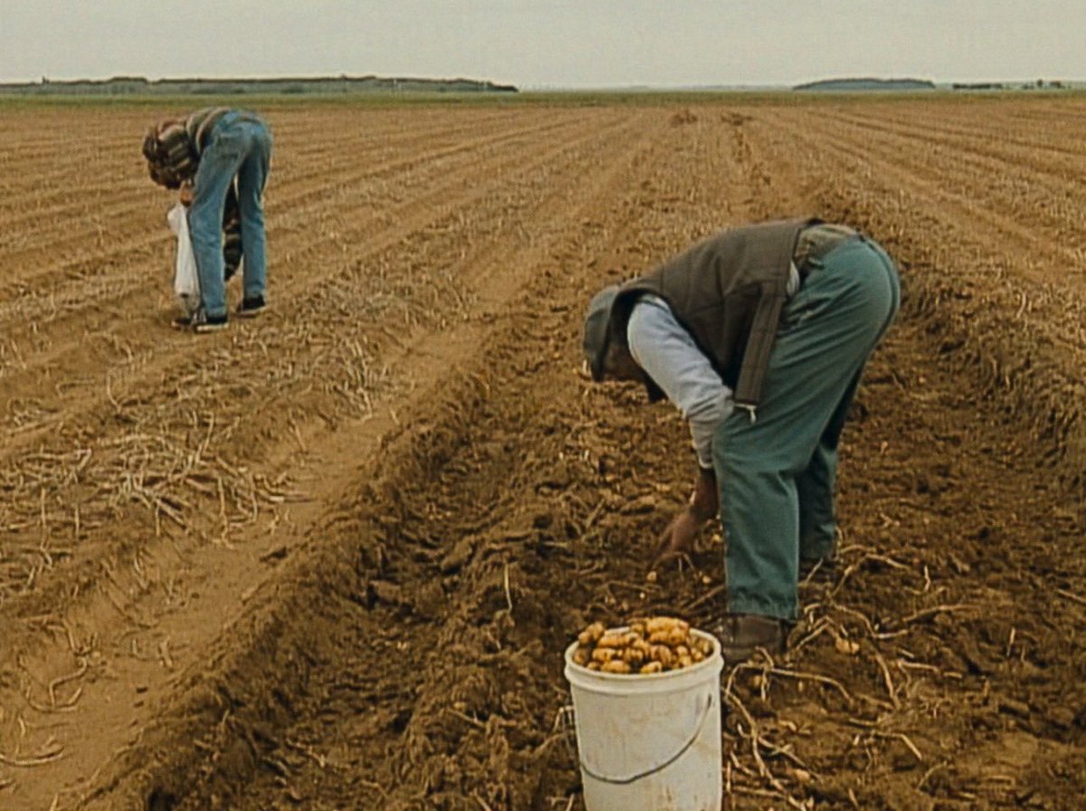 vardaarchive's tweet photo. les glaneurs et la glaneuse (2000) https://t.co/pYtef2jAaP