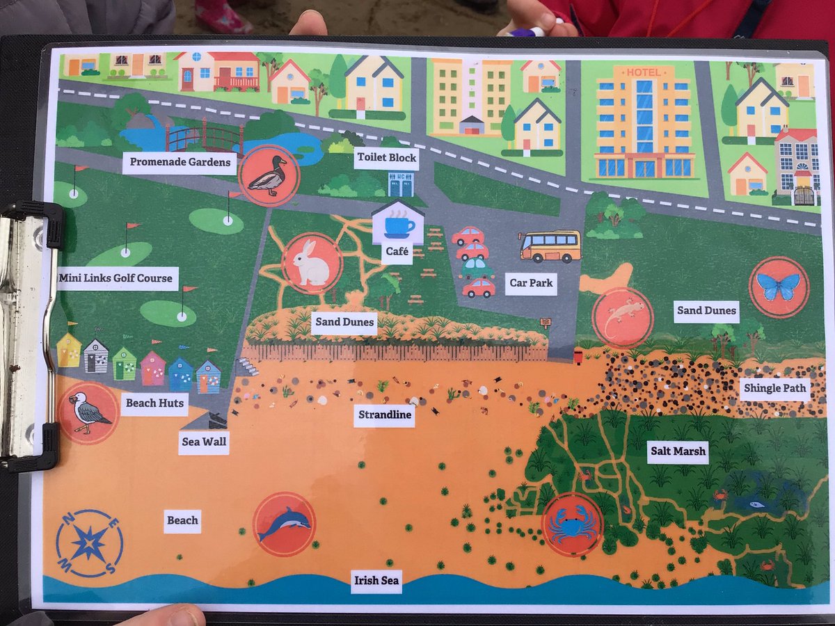 StAdlington's tweet photo. @StAdlington year 2 have had the best day at the beach as part of their @Cornerstonesedu topic Coastline. #geography #science @LT_Trust https://t.co/OaXptVCOoc