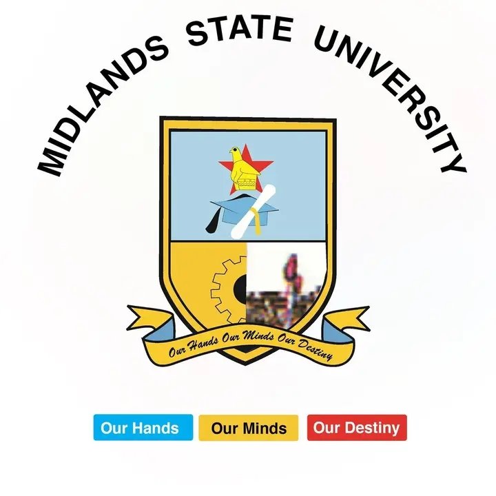EmmanueI_zw's tweet image. Lets finish this once, which Varsity is now better between 🙂
                   🔄UZ              or                 ❤️MSU