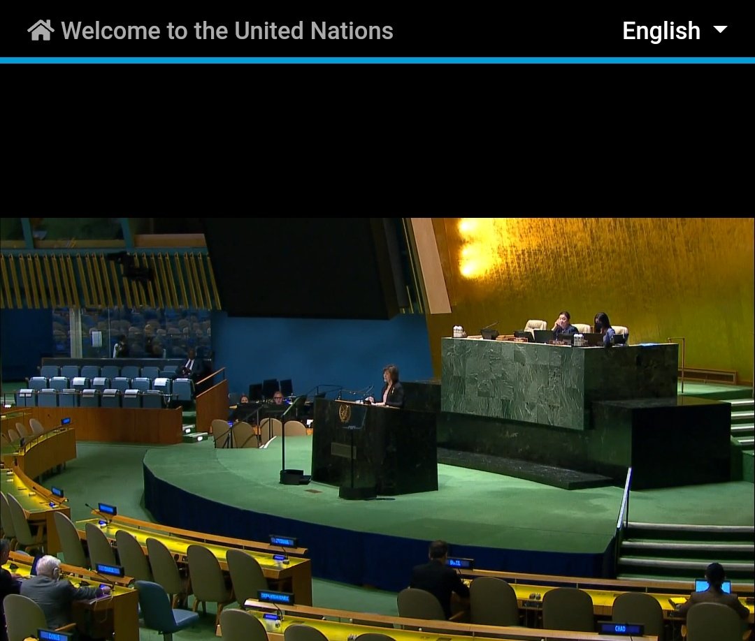 MayWongST's tweet photo. Speaking at the #UN general assembly on March 16, UN special envoy on #Myanmar Noeleen Heyzer reminds member nations that the impact of the #militarycoup, into 3rd year now, "has been devastating" as "violence continues to escalate" in the country #WhatsHappeningInMyanmar 1/3 https://t.co/CE8YzoFb7c
