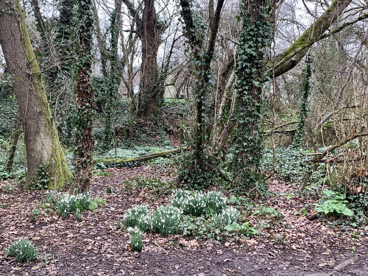 WalkingWorksWonders tweet media