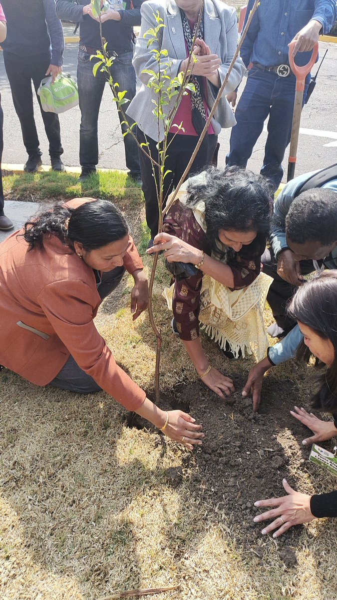SNag_'s tweet photo. Marking the begining of our journey of the new @CIMMYT strategy we planted trees at the CIMMYT HQ. Planting a new dream, new strategy for the future! @bramaccimmyt @Sieg_SAS @ACCIMMYT https://t.co/1jnZnCmSB6