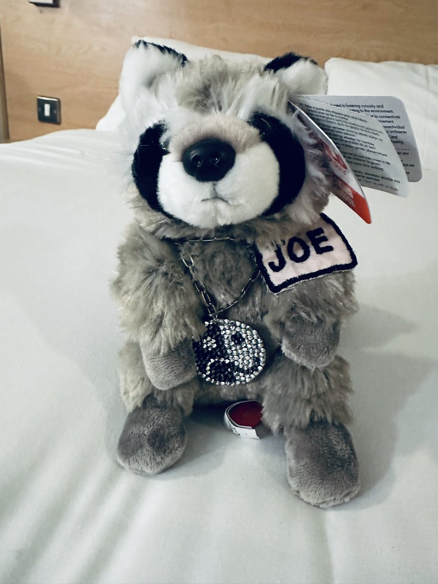 goldxplated's tweet photo. A Joe sighting 🥹🫶🏻🦝✨ @falloutboy https://t.co/00I1PRwTbj