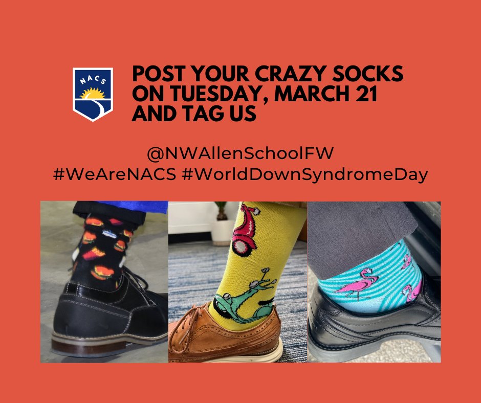 NWAllenSchoolFW tweet picture