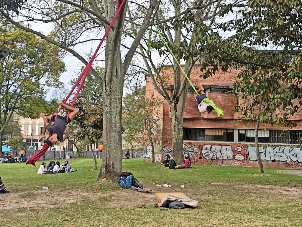 josemog_'s tweet image. Uno a la Nacho llega primero a perderse, a vestirse raro, a meterse teatro o alguna vaina, a pintar paredes, a enloquecerse un poco, a hacer amigos interminables, a no entender nada, a sentir rabia y euforia, a amar descaradamente, a encontrarse y si hay tiempo, a estudiar.