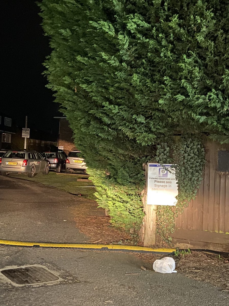 Ross Packman tweet media