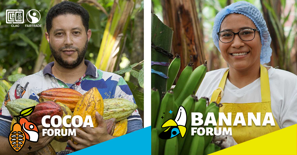 CLACFairtrade's tweet photo. #BananaForum #CocoaForum |CLAC invites you to the Fairtrade banana and cocoa forums,two events that will bring together the most relevant actors and international experts in the value chain. We are waiting for you in Punta Cana,Dominican Republic. Details: https://t.co/lb2MNBBgMv https://t.co/5yb2NKm4oN