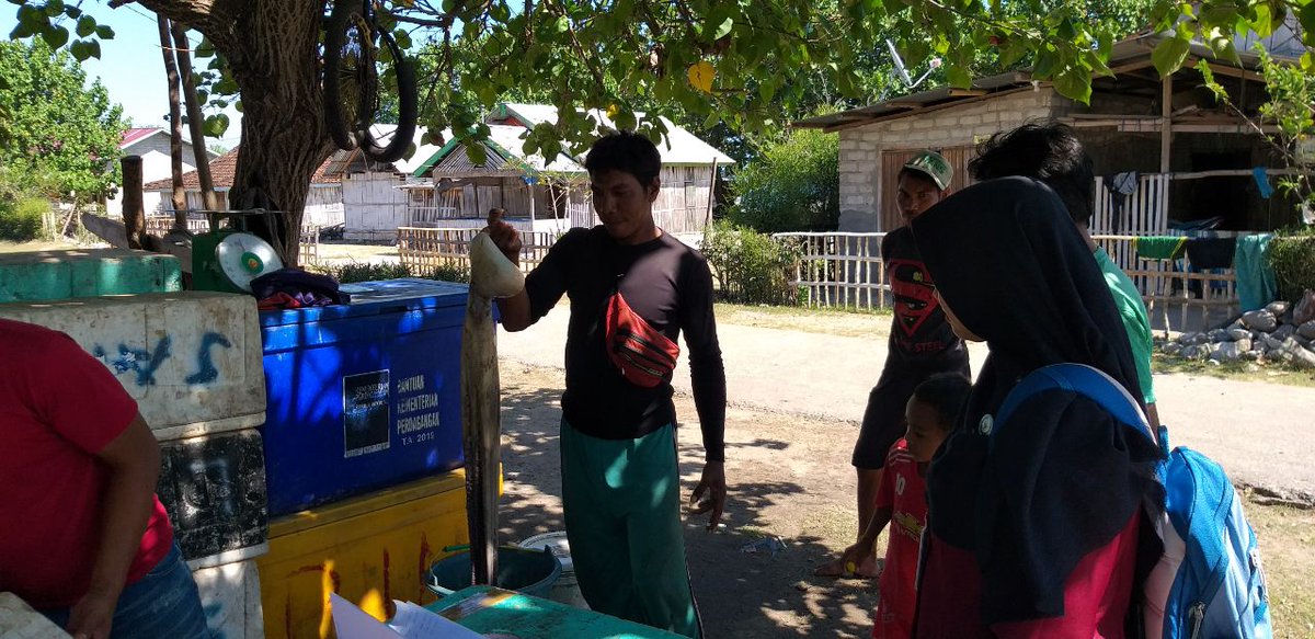 mama_zakiyah's tweet photo. Selasa (7/3/23) Mama Zakiyah Luhkan Kab.Manggarai Timur pendataan produksi gurita hasil tangkap KUB Gurita di Ds Bamo, Kec Kota Komba yaitu 5 Kg grade A dan 4 Kg grade B, dg harga grd A=Rp 55.000, grd B=40.000,grd C=25.000
#GiatLuhkanSatminkalGONDOL #luhlapor #matim @RISET_GONDOL https://t.co/MCxXawND5h