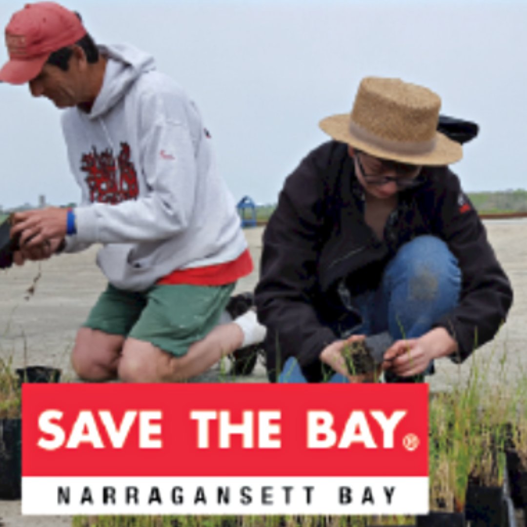 Get involved with Save the Bay &amp; gain internship experience with a local nonprofit this summer! Opportunities include Aquarist &amp; Administration, Aquarist &amp; Education, Events, Projects &amp; Leadership, &amp; Volunteer Management🌊

volunteer.savebay.org/internships/

#URI #CELS #SavetheBay