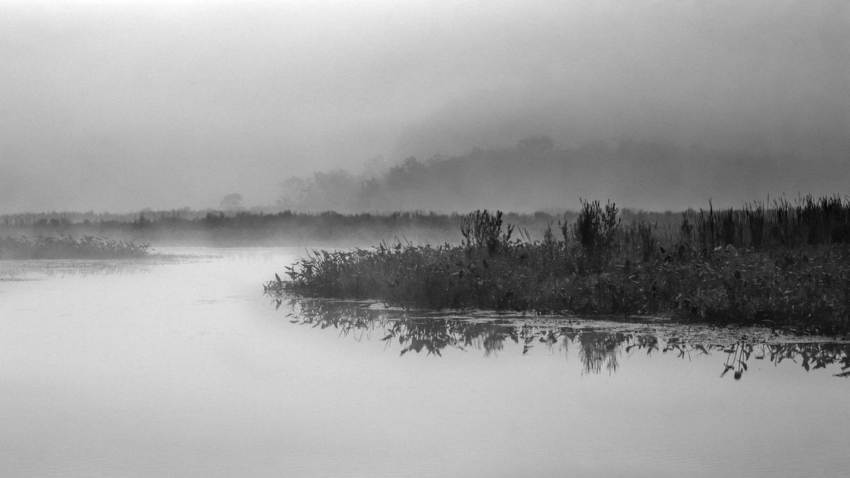 Ruscombe's tweet photo. @MickMcC_Photos I thought I would share a few black &amp; whites from London I made a couple of weeks ago and an atmospheric one from the Bashakill Wetlands in Sullivan County, New York. Click on each for full views. #blackandwhite #London #bashakill https://t.co/txG4QxXW1r