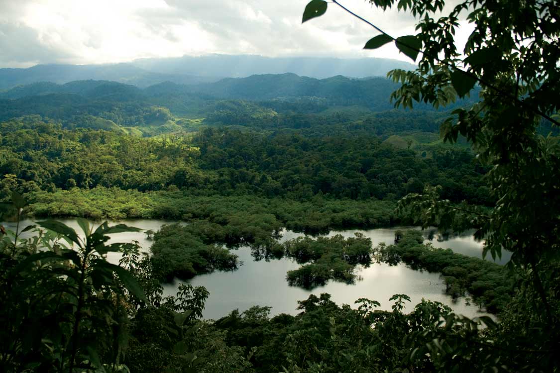 CONANP_mx's tweet photo. #TriviaRespuesta
La Selva Lacandona se conserva a través de siete #ÁreasNaturalesProtegidas: dos RB #MontesAzules y #LacanTun; dos MN #Bonampak y #Yaxchilán; y tres APFF #ChanKin, #Metzabok y #Nahá. 🐾🐍🐆🪶🕷️🕸️
¡Cuidemos las #ANP! #ConservarParaVivir 🌳🌵🦀🦋🐙🐟 https://t.co/JsAYvKDEyz
