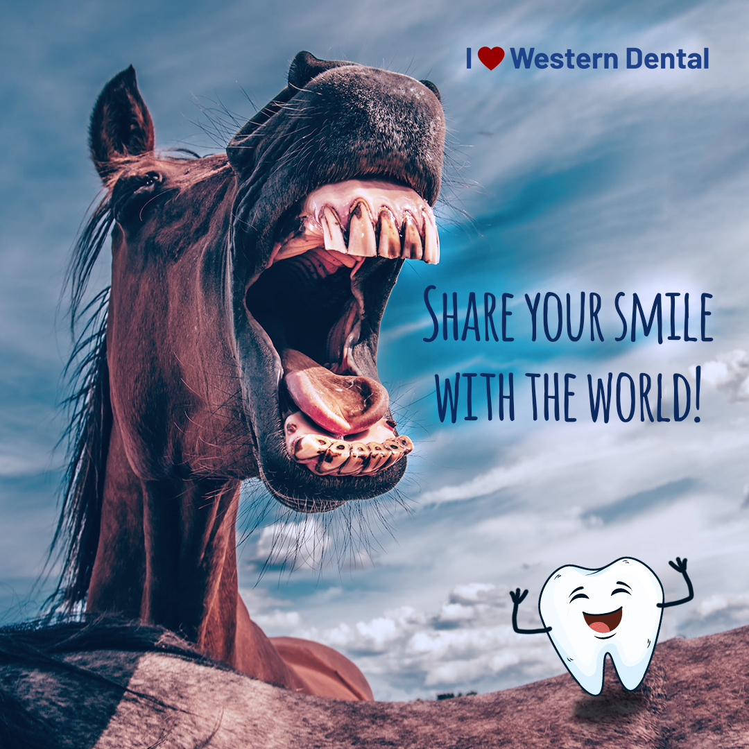 I Love Western Dental tweet media