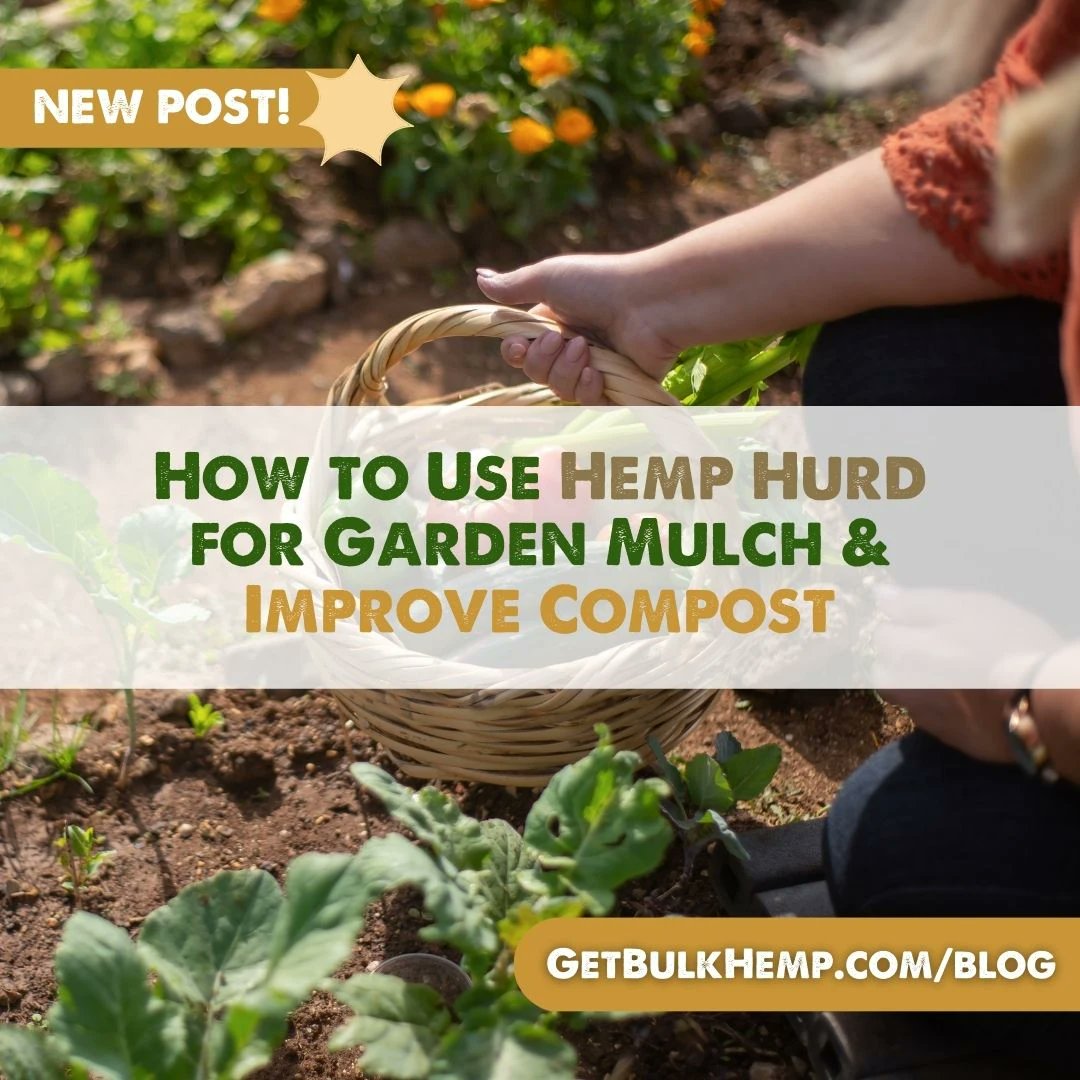 bulkhemp's tweet photo. Check out the latest post on https://t.co/vGUncwELqm!
How to improve your garden compost with Hemp Hurd & Hemp Seed Cake.
#hempcake #gardening #hempeducation #hempblog #hemp #industrialhemp #cannabis #natural #organic #hempfacts #education #nature #garden #hempproducts #fibers https://t.co/PxApOXNukO