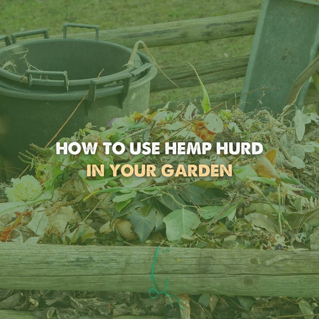 bulkhemp's tweet photo. Check out the latest post on https://t.co/vGUncwELqm!
How to improve your garden compost with Hemp Hurd & Hemp Seed Cake.
#hempcake #gardening #hempeducation #hempblog #hemp #industrialhemp #cannabis #natural #organic #hempfacts #education #nature #garden #hempproducts #fibers https://t.co/PxApOXNukO