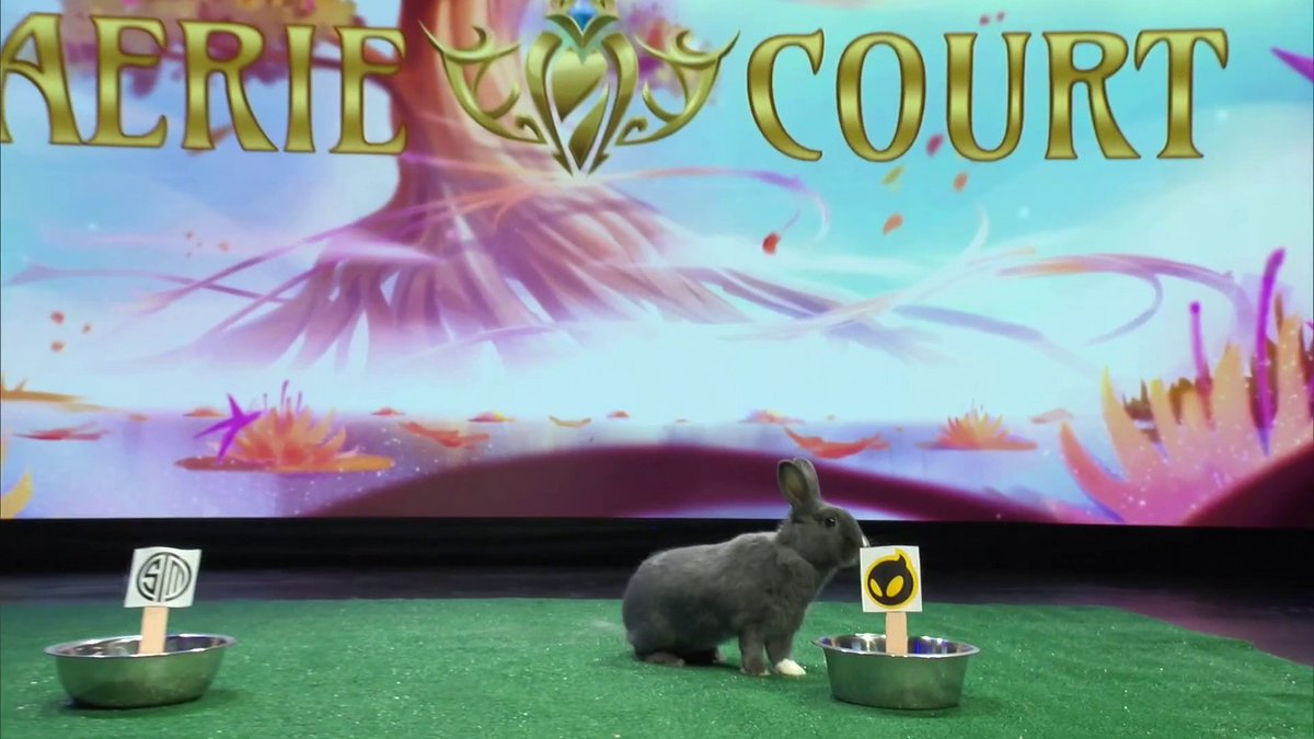 <a href="/TheeMarkZ/">Mark Zimmerman</a> <a href="/esportsjatt/">Josh Leesman</a> <a href="/razlol/">Barento</a> <a href="/100T_Esports/">100 Thieves Esports</a> The bunny is currently 100% on predictions, and has picked <a href="/DignitasLoL/">Dignitas LoL</a> for the upcoming game 🐇