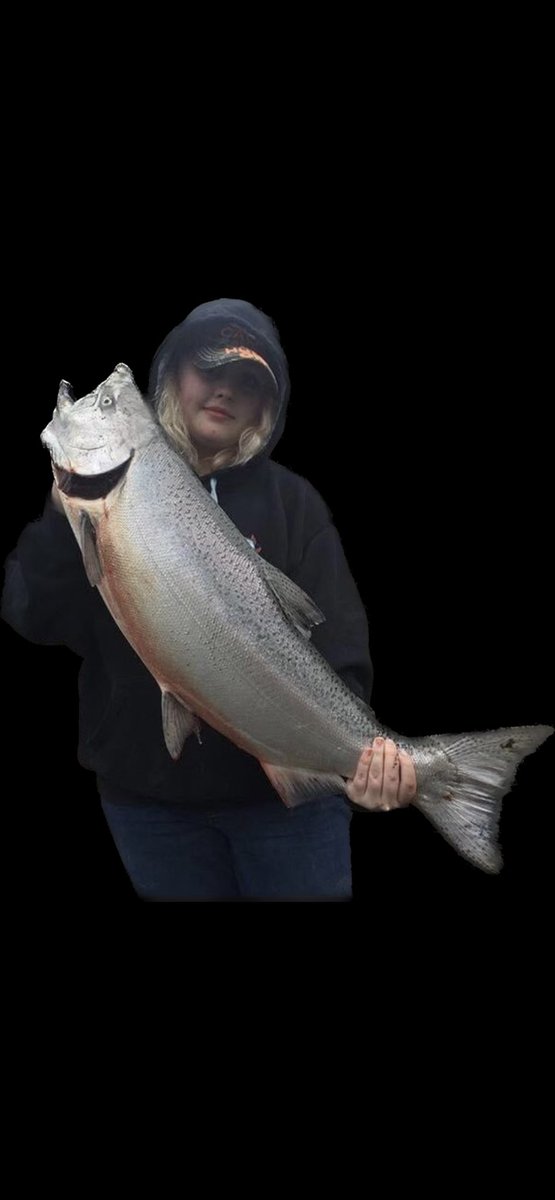 HomeWaterGuide1's tweet photo. I had a last min cancellation for tomorrow March 17th Columbia river spring Chinook. Text call or dm 360-355-0006
#seewhatsoutthere #homewaterguideservice #springchinook #mackslure #columbiariver #salmon #fishing #hawkenfishing #bradskillerfishinggear #fyp #fy #foryourpage #fypγ· https://t.co/aaWmy1m7hH