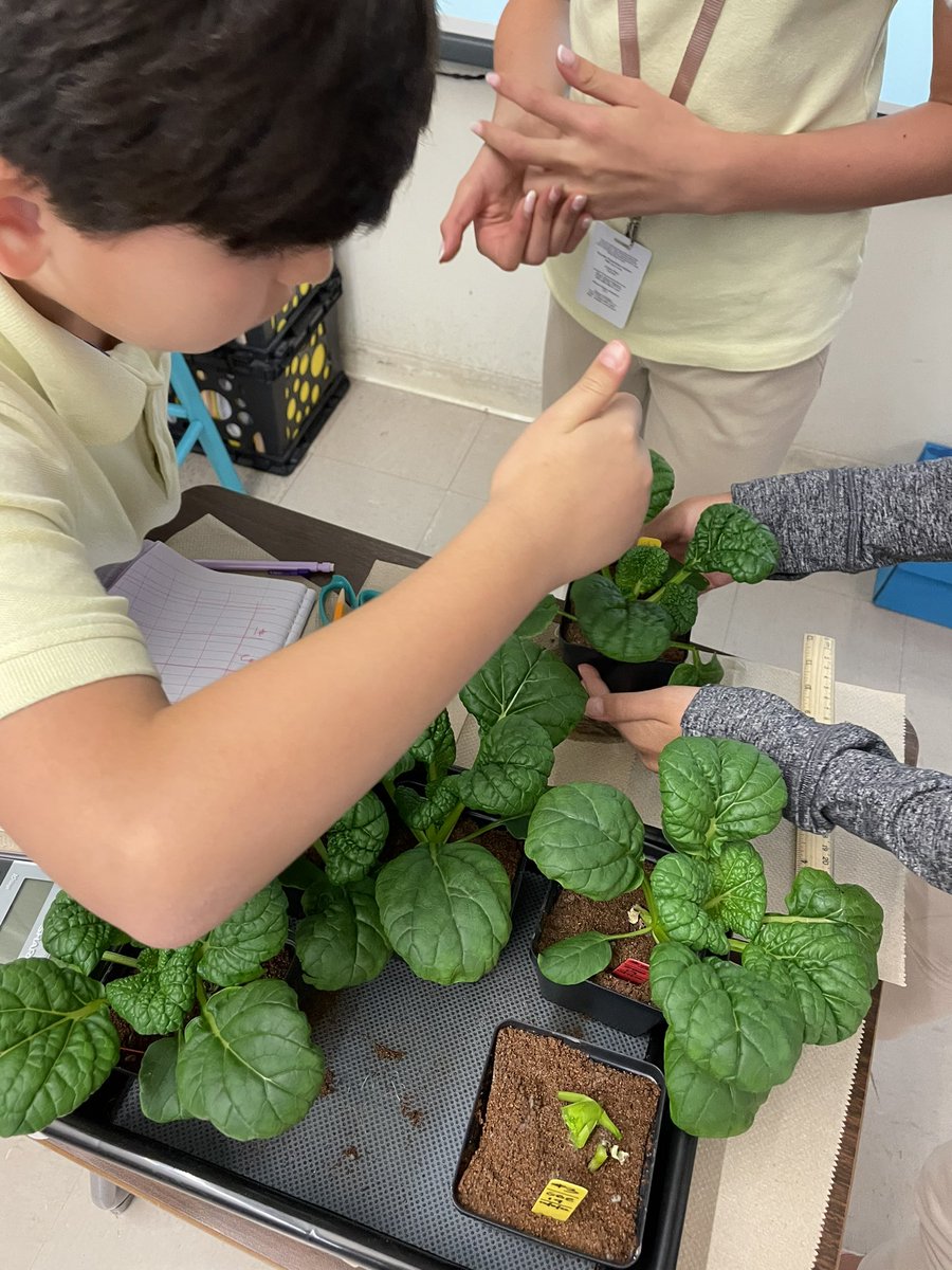 Ms Ro-Do tweet media