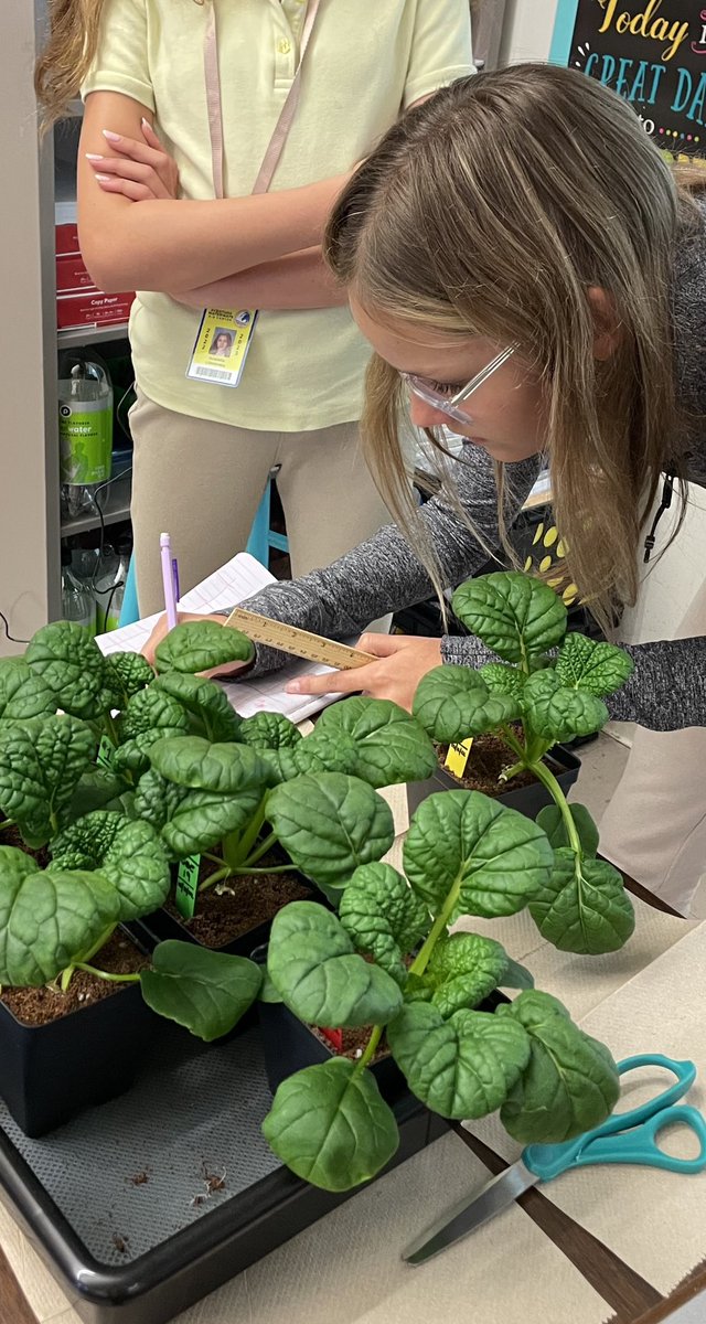 Ms Ro-Do tweet media