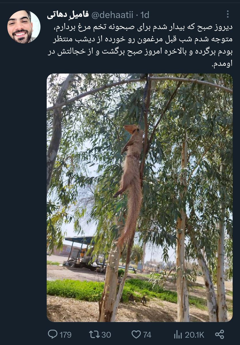 vahidrahimian's tweet photo. دوستان گرامی
لطفاً این بیمار روانی حیوان‌کش رو ریپورت کنید
«سمورهای سنگی در ایران بسیار کمیاب و جوندگانی همچون موش و موش‌های صحرایی از طعمه‌های اصلی او هستند» https://t.co/sEvLsvJLT6