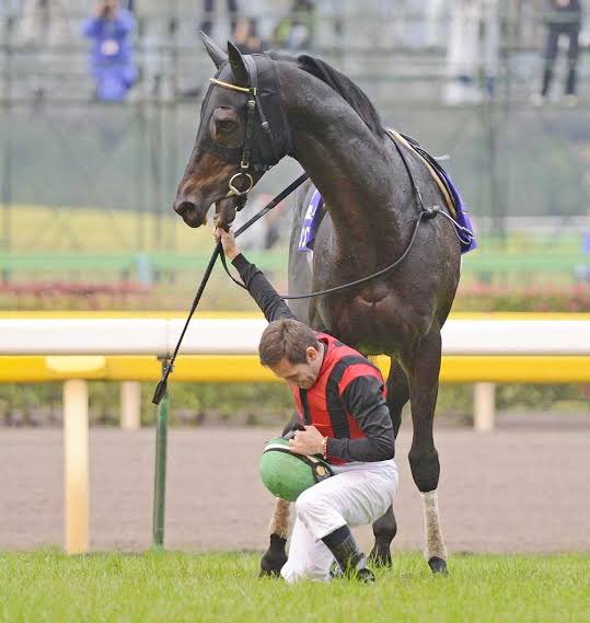 牝馬なら皆さんはどの世代派でしょうか❓
個人的に2019年クラシック世代を超える世代は過去に無かったと思います🏆
グランアレグリア🏇
ラヴズオンリーユー🏇
クロノジェネシス🏇
マルシュロレーヌ🏇
ダノンファンタジー🏇
カレンブーケドール🏇
テオレーマ🏇

2007年クラシック世代も捨て難いですが💦 