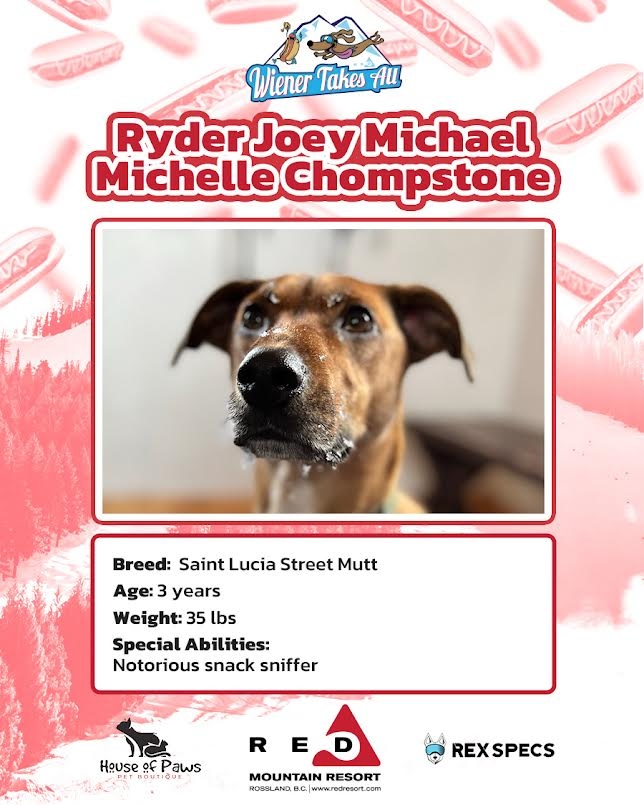 redresort tweet media