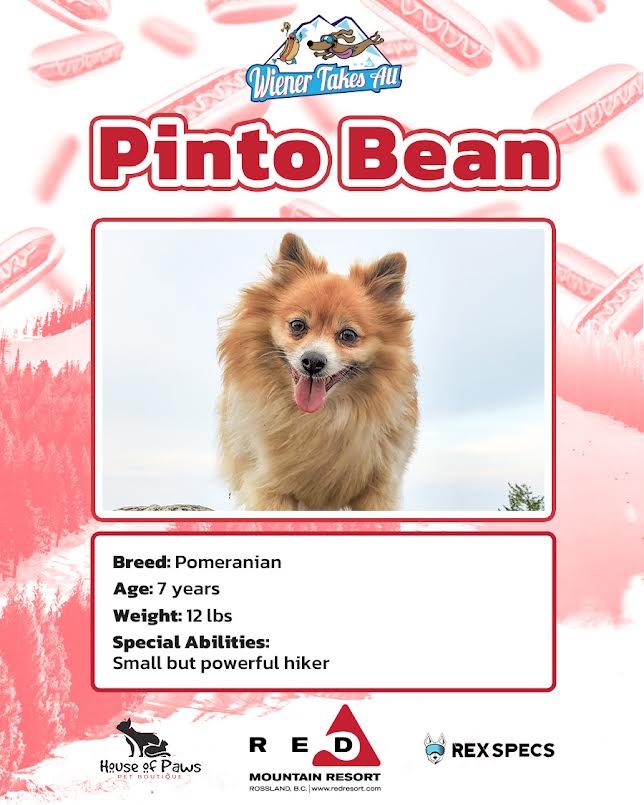 redresort tweet media