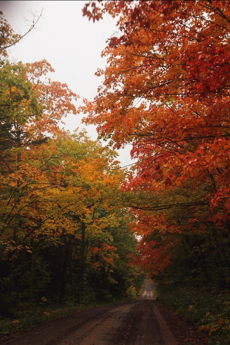 Ali (Haws) Weideman tweet media