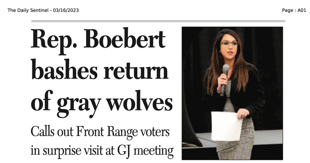 Lauren Boebert tweet media